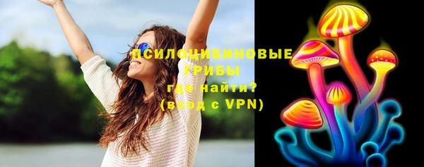 спиды Аркадак